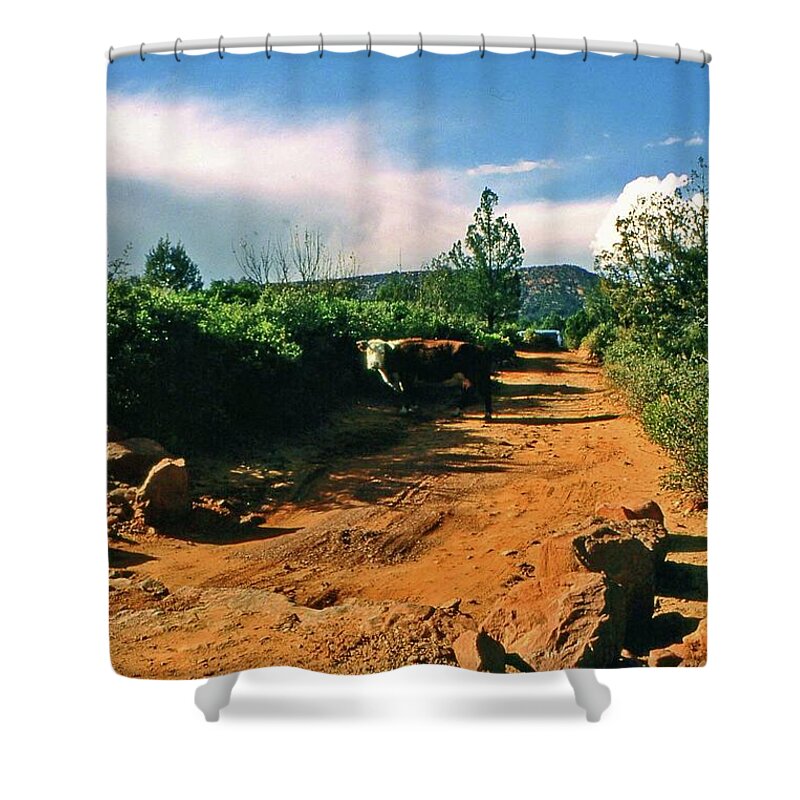 Sedona Shower Curtain featuring the photograph Why you here by Gary Wonning