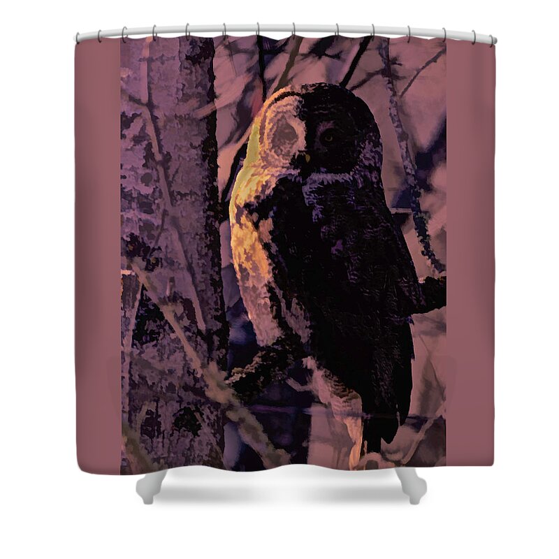 Owl Shower Curtain featuring the photograph Whyzold by Michael Hall