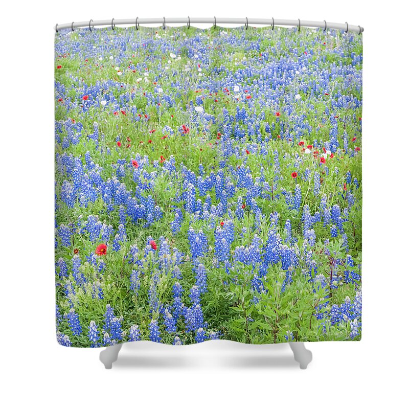 Texas Shower Curtain featuring the photograph Wild about wildflowers of Texas. by Usha Peddamatham