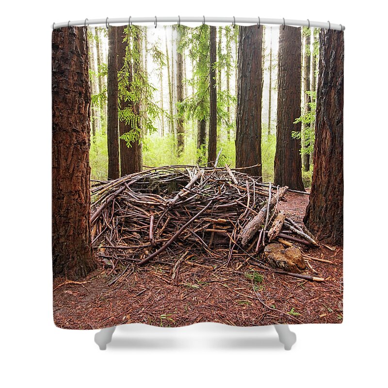 Redwood Shower Curtain featuring the photograph Wild and Woven by Linda Lees