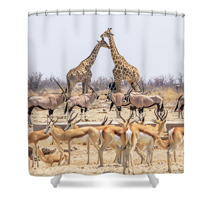 Namibia Shower Curtain featuring the photograph Wild Animals Pyramid by Benny Marty