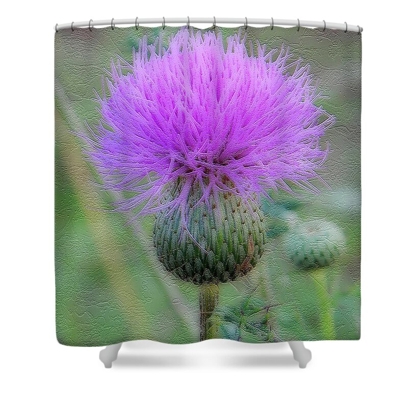 Art Shower Curtain featuring the photograph Wild Flower #2453 by Barbara Tristan