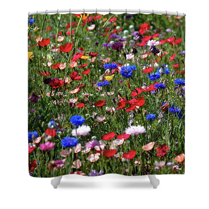 Flowers Shower Curtain featuring the photograph Wild Flower Meadow 2 by Baggieoldboy