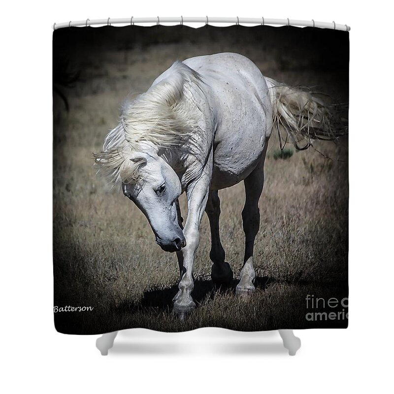 Stallion Shower Curtain featuring the photograph Wild Horse Leader by Veronica Batterson