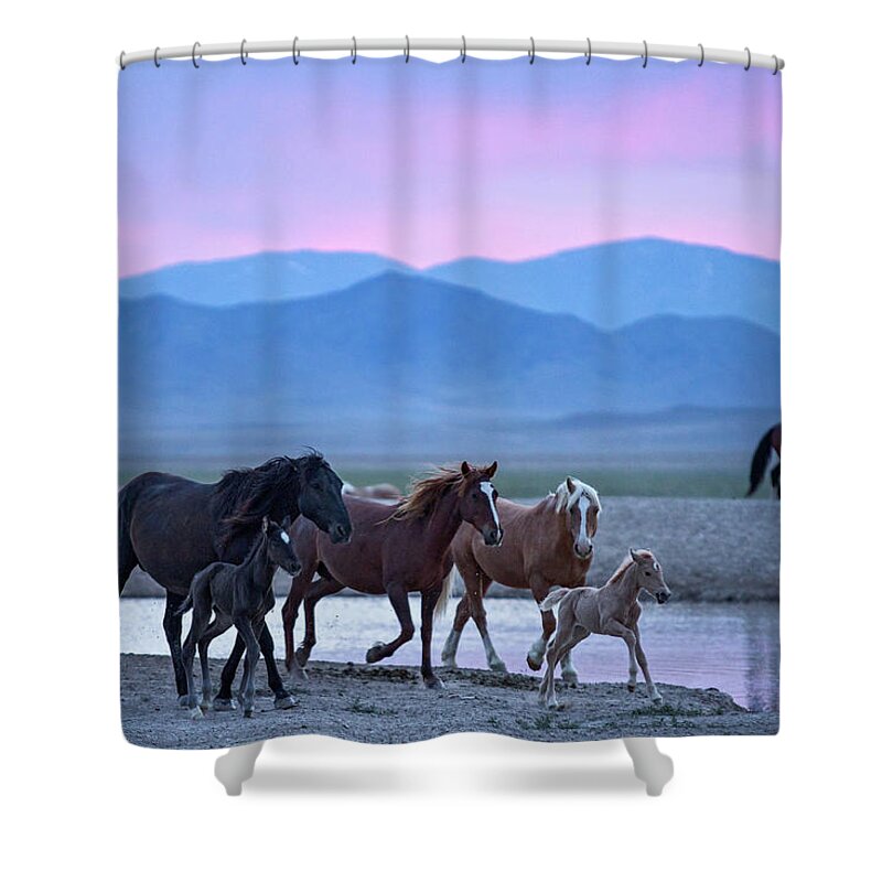Wild Horse Shower Curtain featuring the photograph Wild Horse Sunrise by Wesley Aston