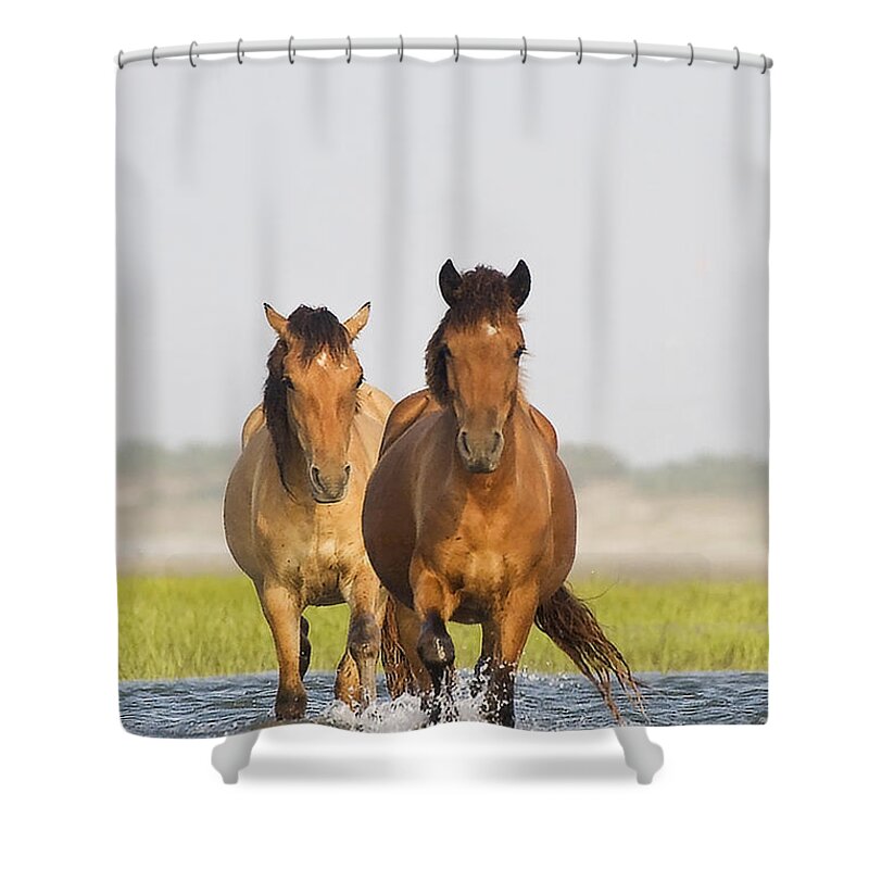 Wild Shower Curtain featuring the photograph Wild Horses by Bob Decker