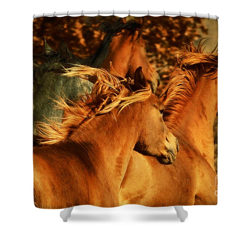 Horse Shower Curtain featuring the photograph Wild Horses by Dimitar Hristov