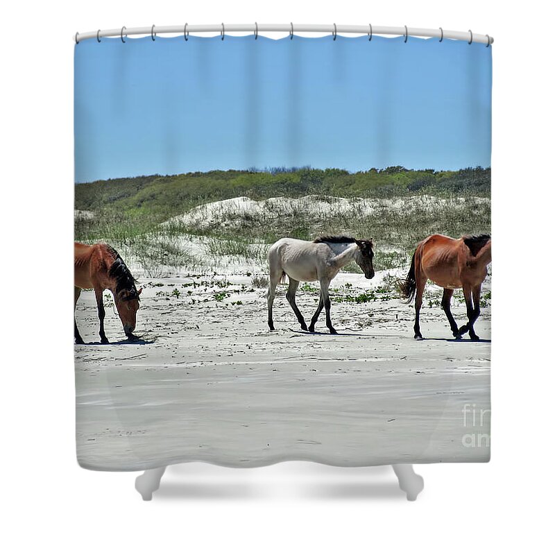 Wild Horse Shower Curtain featuring the photograph Wild Horses On The Beach by D Hackett