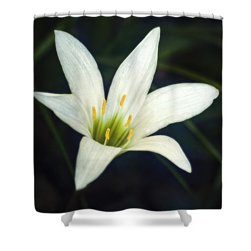 Lily Shower Curtain featuring the photograph Wild Lily by Carolyn Marshall