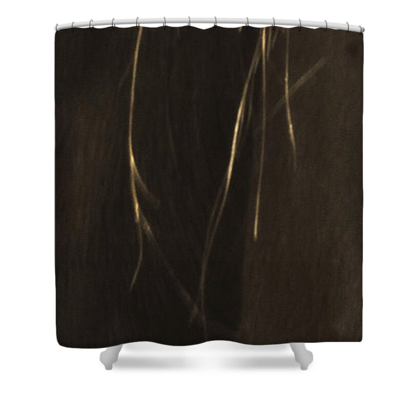 Andalusia Shower Curtain featuring the photograph Wild Mustangs of New Mexico 43 by Catherine Sobredo