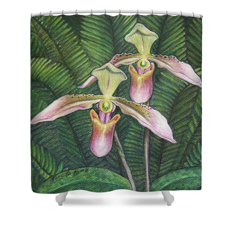 Orchid Shower Curtain featuring the pastel Wild Orchid Twins by Tara D Kemp