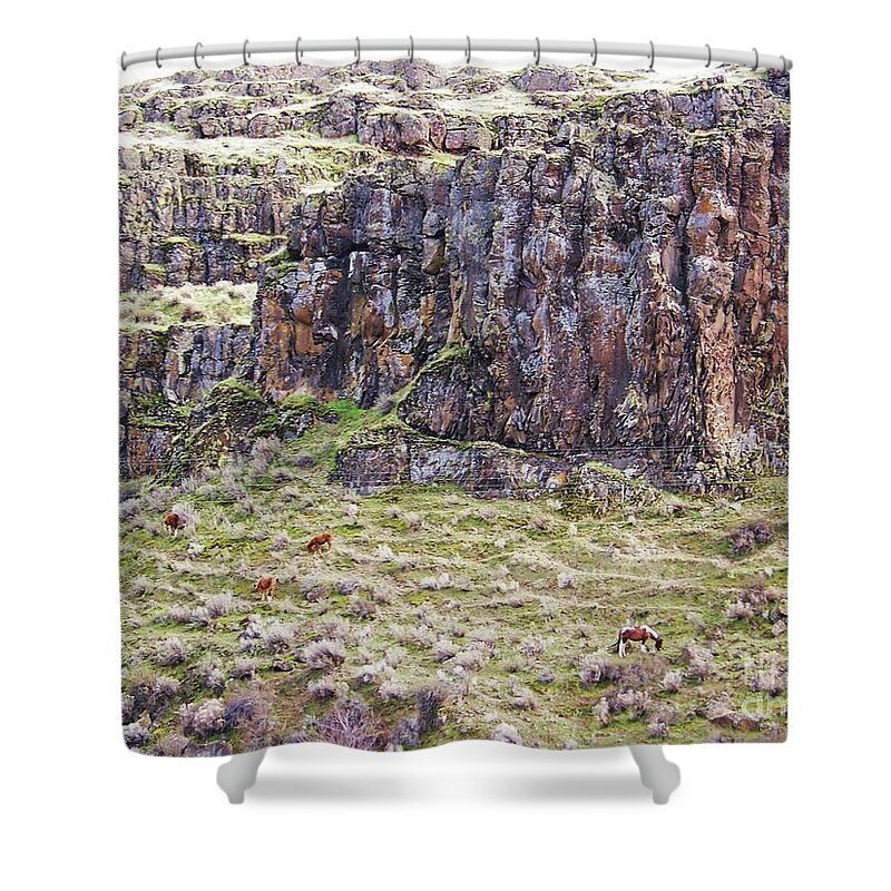 Horses Shower Curtain featuring the photograph Wild Ponies by Julie Rauscher