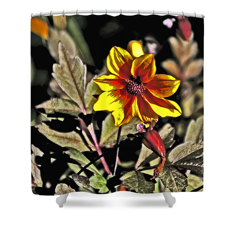  Shower Curtain featuring the photograph Wild Yellow and Red flower with lots of foliage by David Frederick