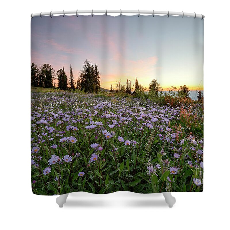 Central Idaho Shower Curtain featuring the photograph Wildflower Dawn by Idaho Scenic Images Linda Lantzy