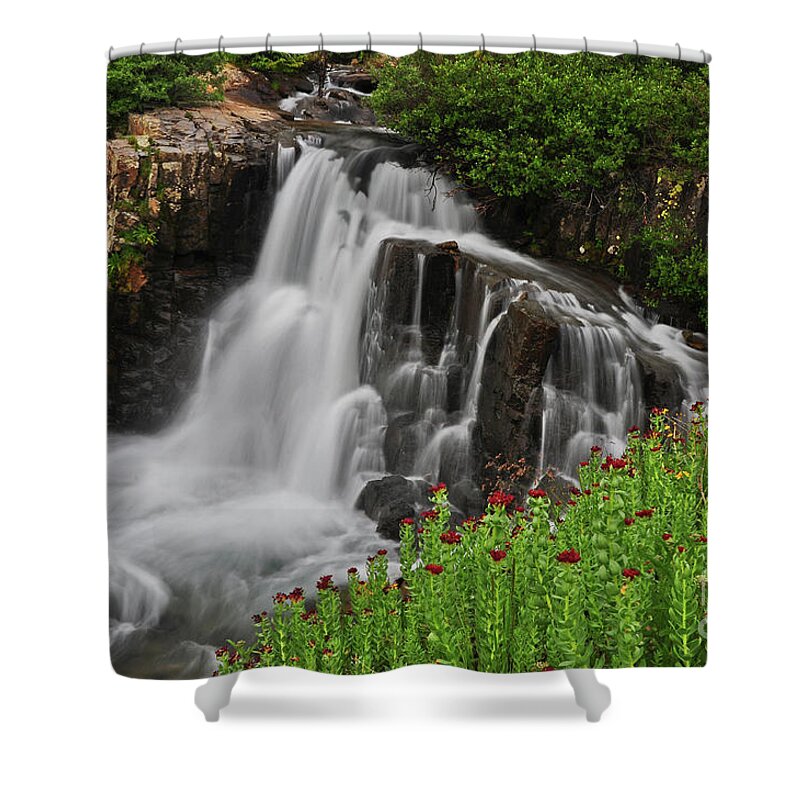 Waterfall Shower Curtain featuring the photograph Wildflower Falls by Randy Rogers