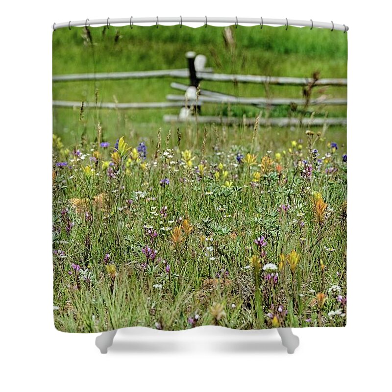 Meadow Shower Curtain featuring the photograph Wildflower fence by Gaelyn Olmsted