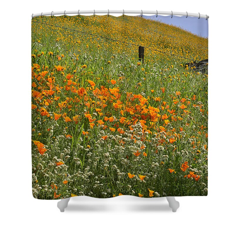 Sierra Nevada Shower Curtain featuring the photograph Wildflower Foothill by Debby Pueschel