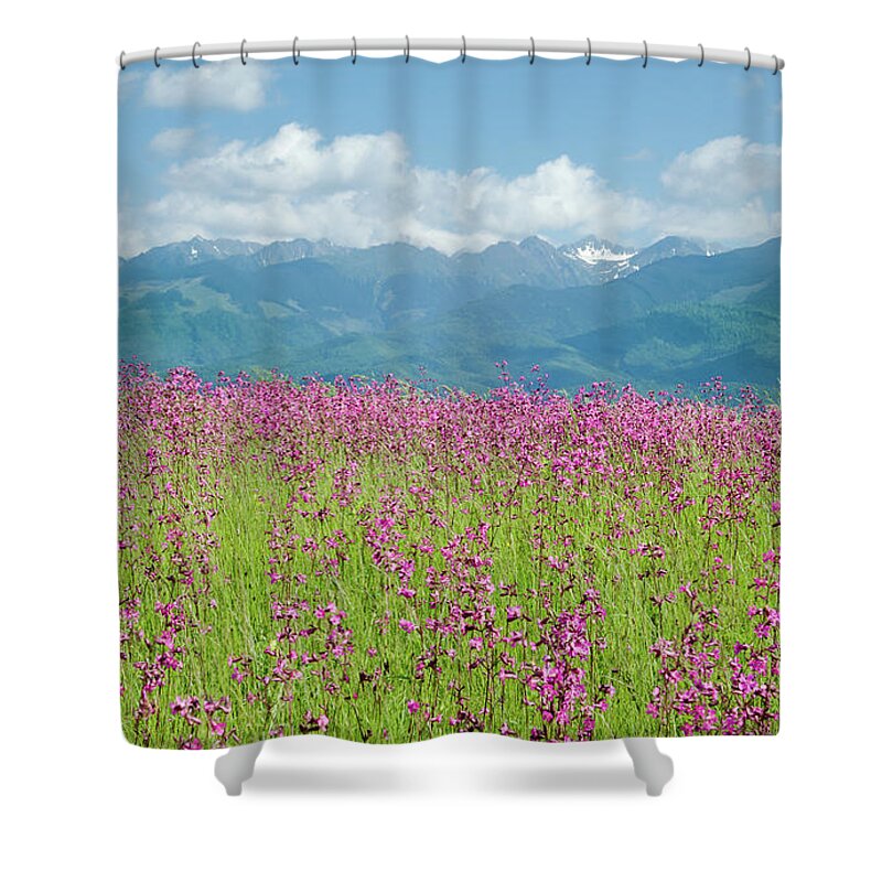 Farm Shower Curtain featuring the photograph Wildflower Meadows and the Carpathian Mountains, Romania by Perry Rodriguez
