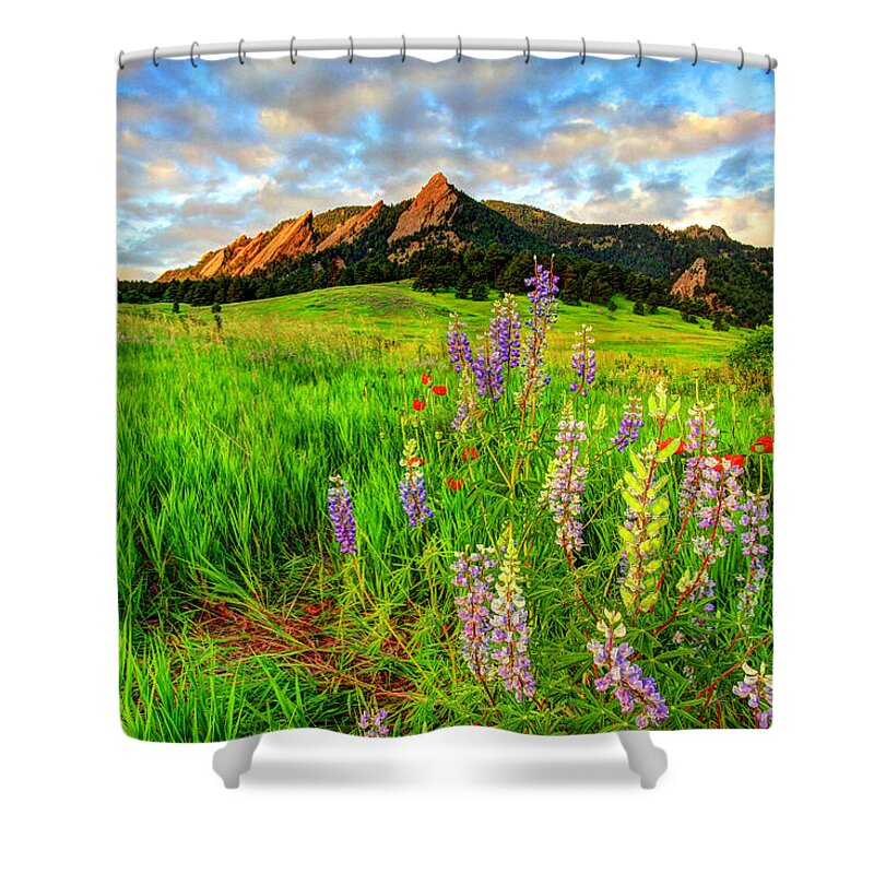 Wildflowers Shower Curtain featuring the photograph Wildflower Mix by Scott Mahon