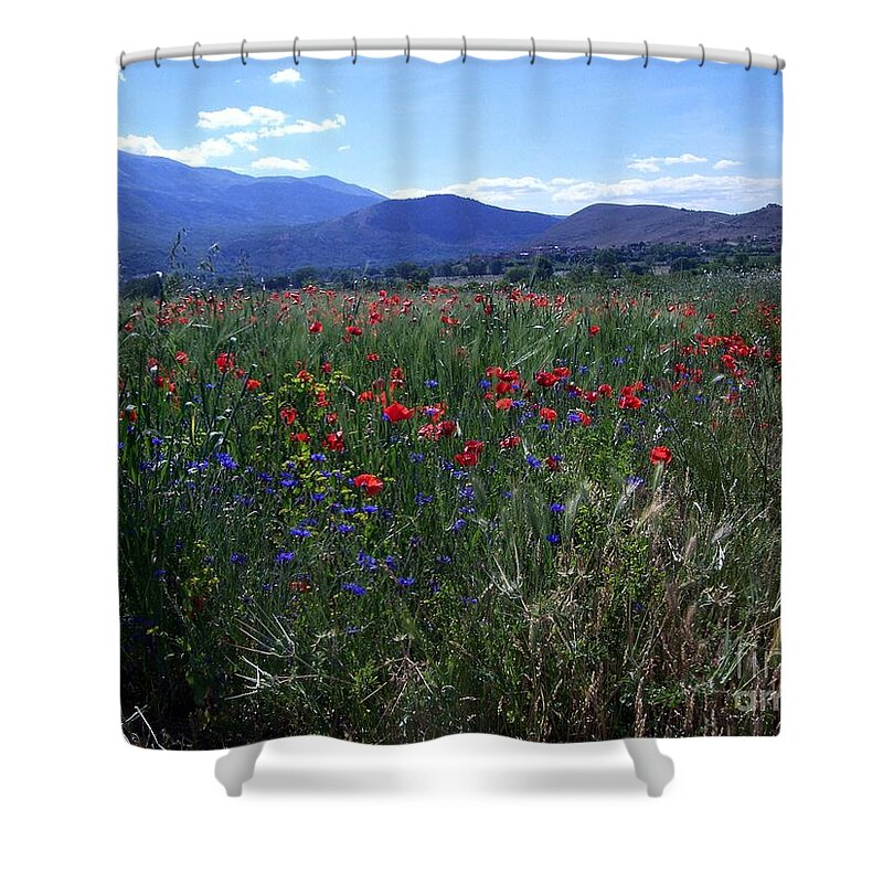 Path Shower Curtain featuring the photograph Wildflower Path by Judy Kirouac