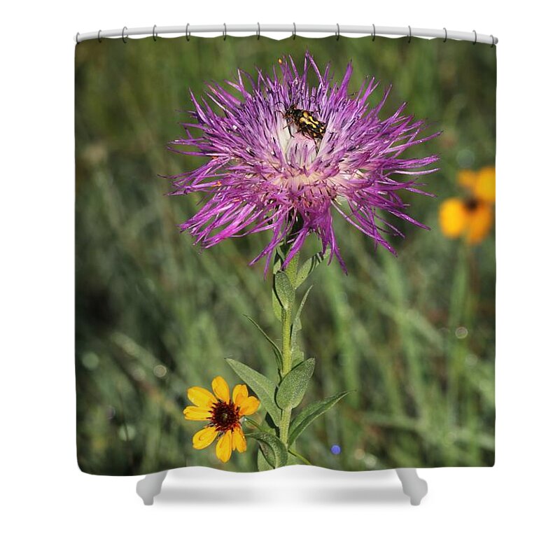 Nature Shower Curtain featuring the photograph Wildflowers and Friend by Sheila Brown