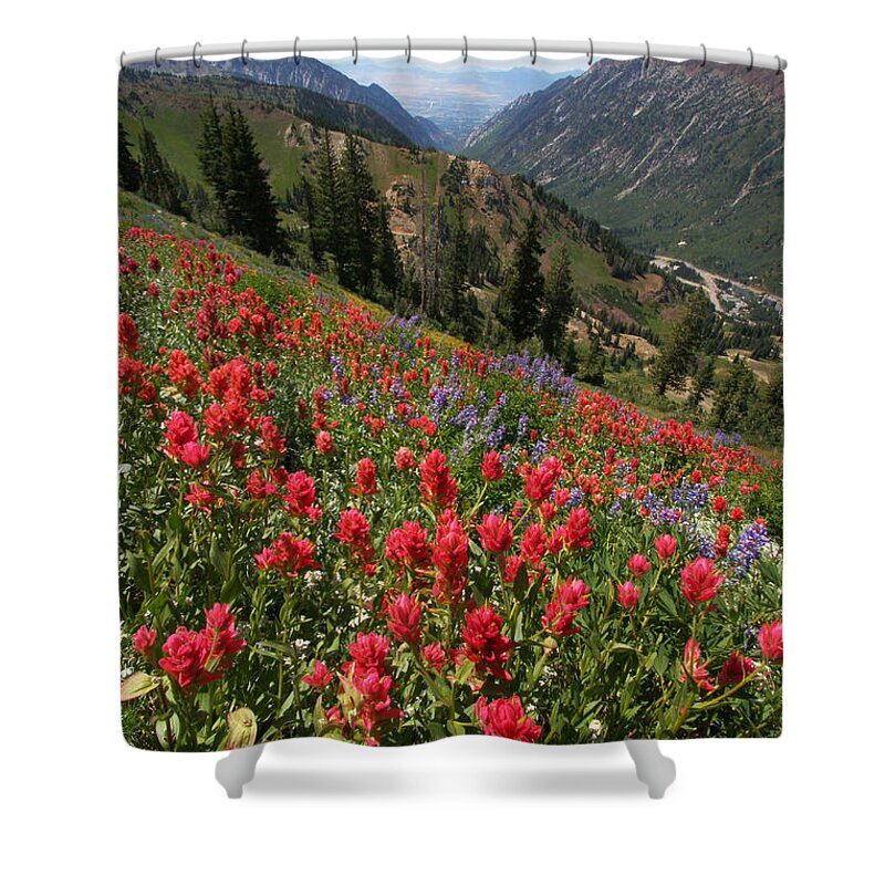 Landscape Shower Curtain featuring the photograph Wildflowers and View Down Canyon by Brett Pelletier