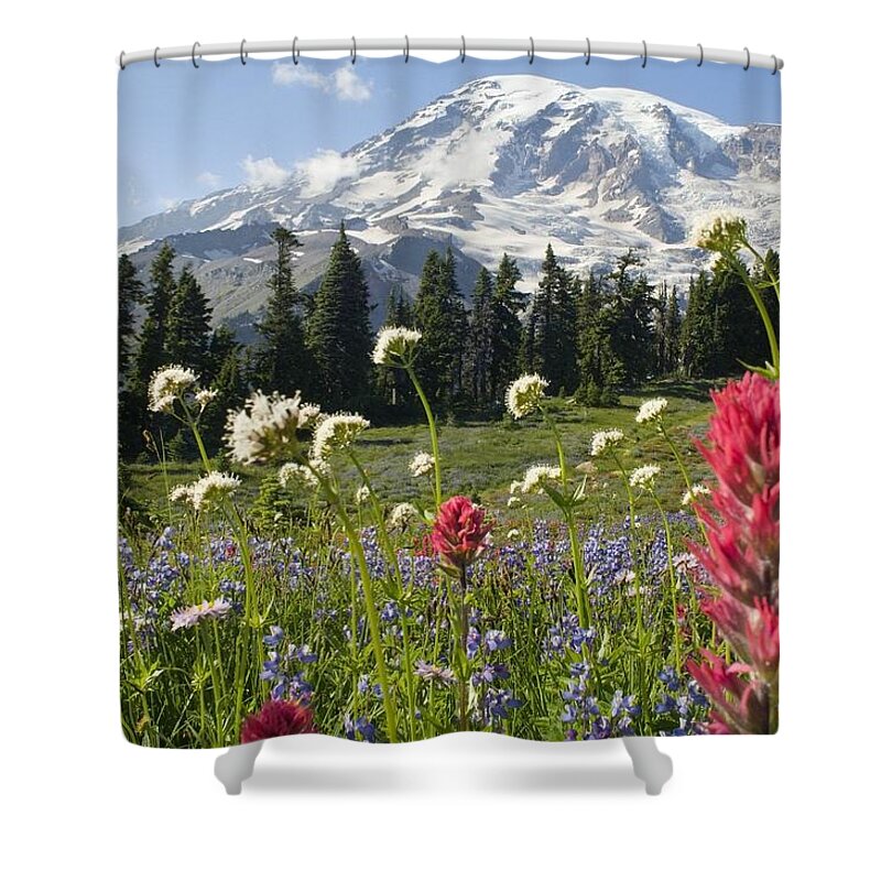 Attractions Shower Curtain featuring the photograph Wildflowers In Mount Rainier National by Dan Sherwood