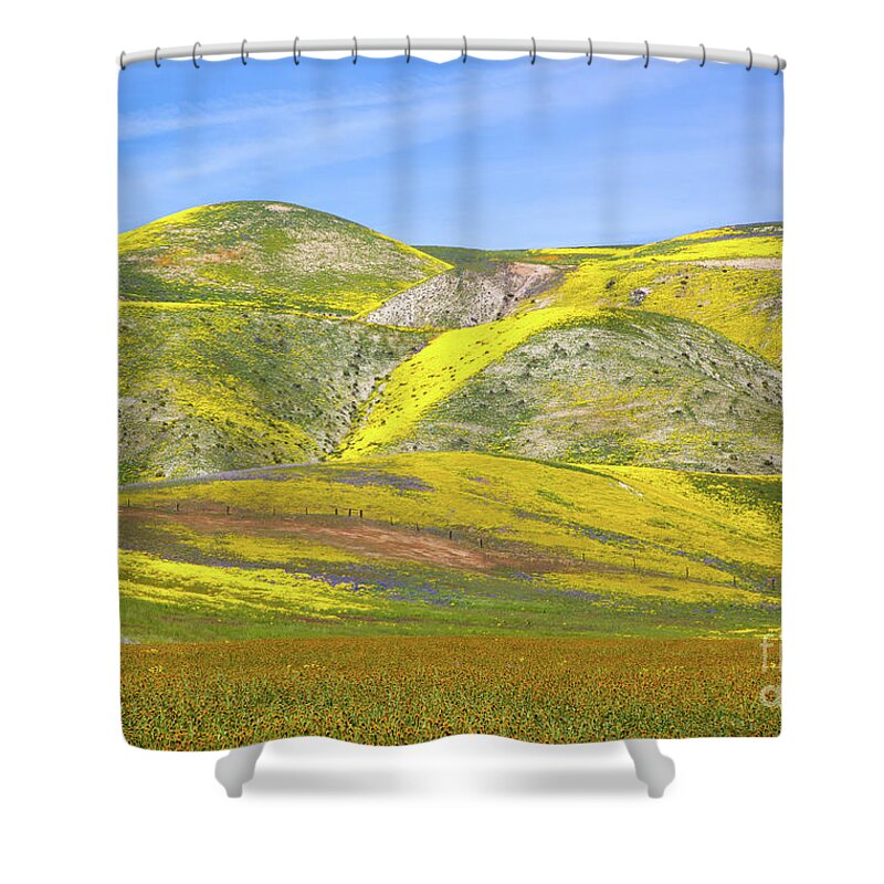 Carrizo Shower Curtain featuring the photograph Wildflowers In The Temblors by Mimi Ditchie
