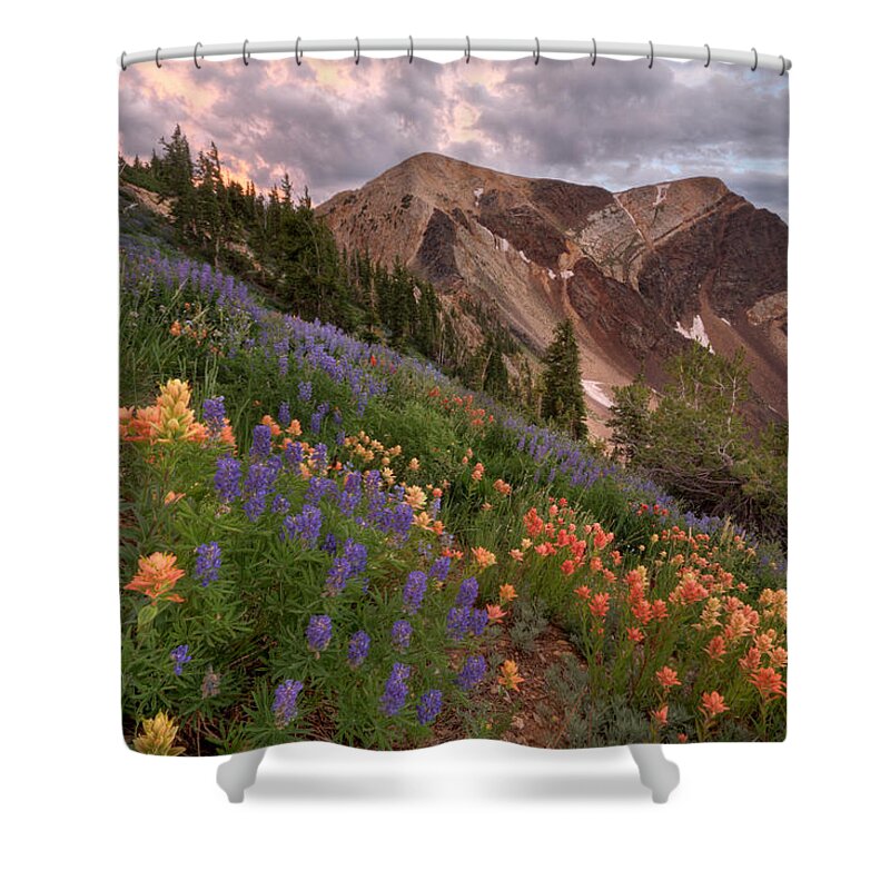 Landscape Shower Curtain featuring the photograph Wildflowers with Twin Peaks at Sunset by Brett Pelletier