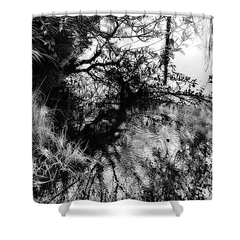 Black And White Shower Curtain featuring the photograph Will-o-de-Wisp - Limited Edition Available 1 of 25 by Lauren Leigh Hunter Fine Art Photography
