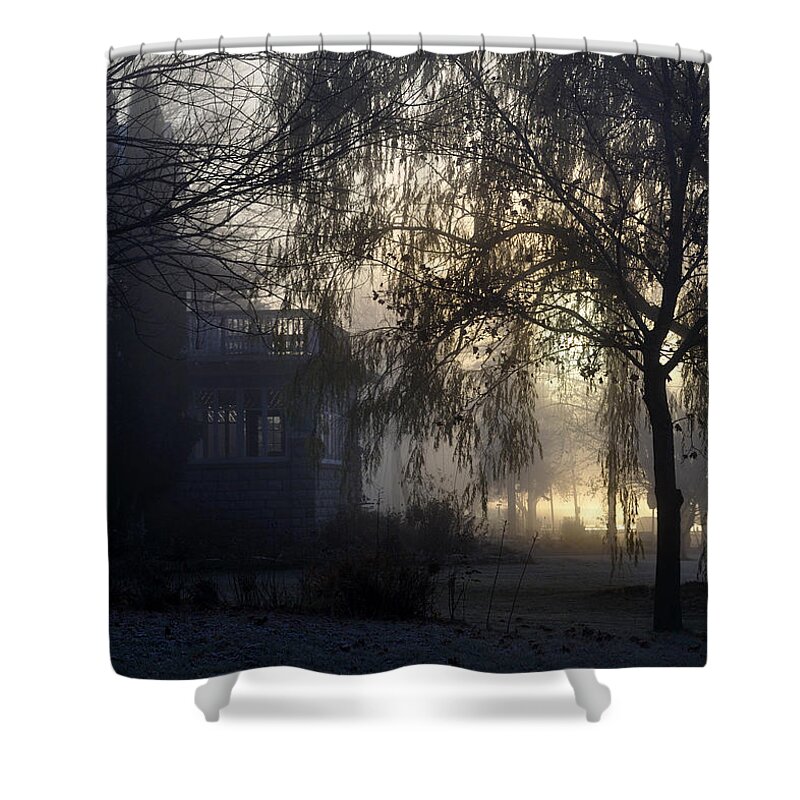 Fog Shower Curtain featuring the photograph Willow in Fog by Tim Nyberg