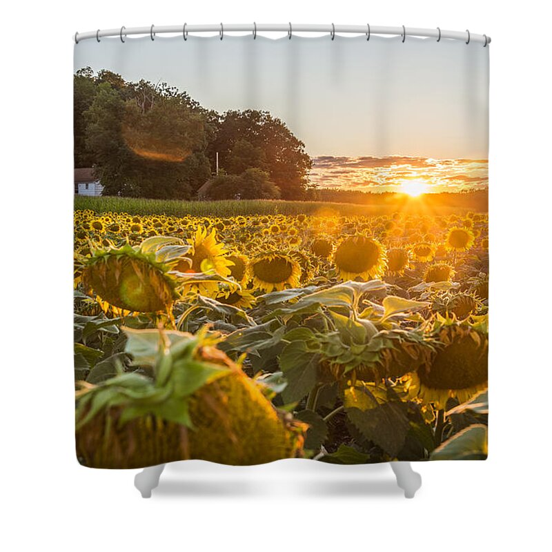 New Jersey Shower Curtain featuring the photograph Wilted Sunset by Kristopher Schoenleber
