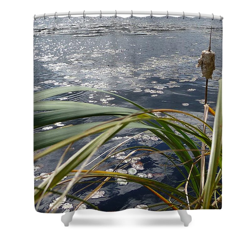 Nature Shower Curtain featuring the photograph Wind and Water by Ruth Kamenev