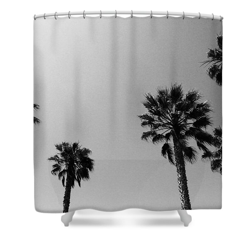 Palm Trees Shower Curtain featuring the photograph Wind In The Palms- by Linda Woods by Linda Woods