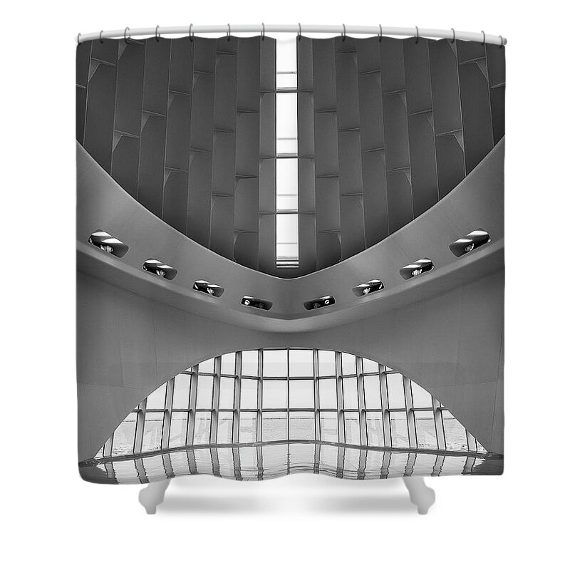 Calatrava Shower Curtain featuring the photograph Windhover #3 by John Roach