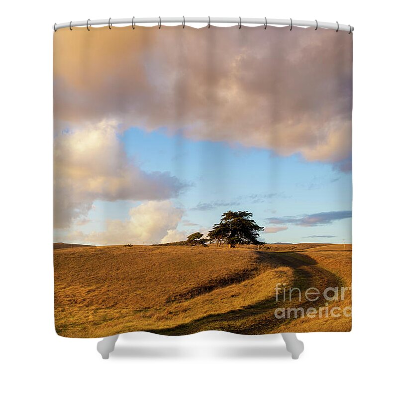 Winding Shower Curtain featuring the photograph Winding Road Leads to a Lone Tree by Sharon Foelz