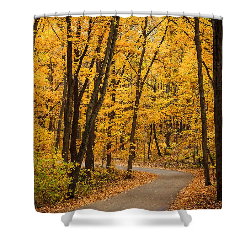 Illinois Shower Curtain featuring the photograph Winding Road of Yellow Trees by Joni Eskridge