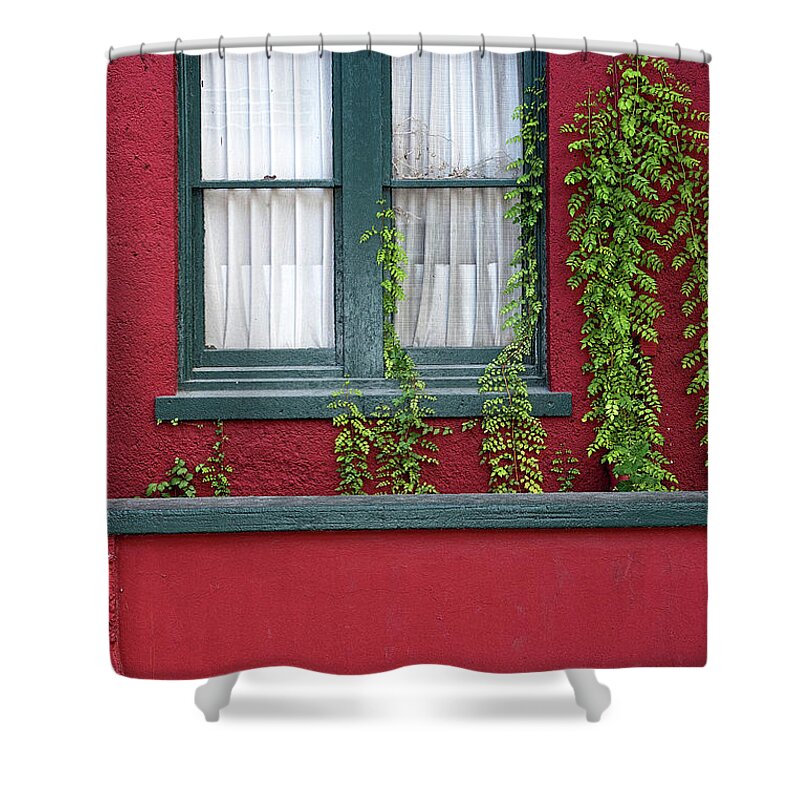 Window Shower Curtain featuring the photograph Window and VInes by Christopher Holmes
