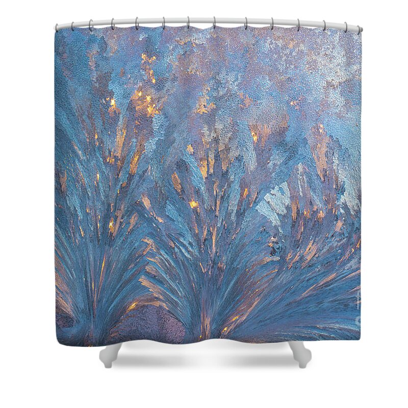 Cheryl Baxter Photography Shower Curtain featuring the photograph Window Frost At Sunset by Cheryl Baxter