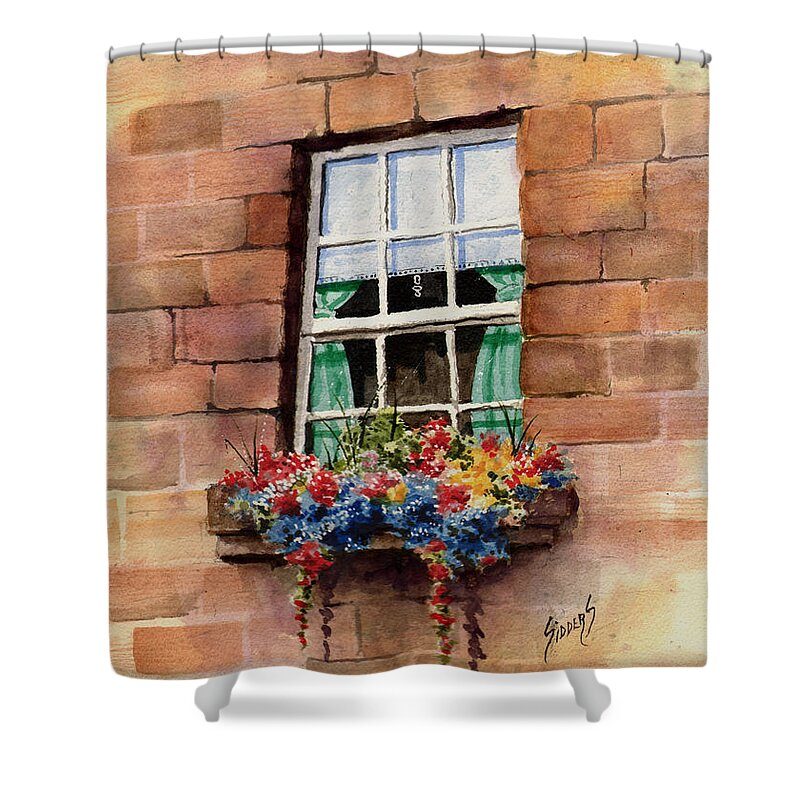 Window Shower Curtain featuring the painting Window by Sam Sidders