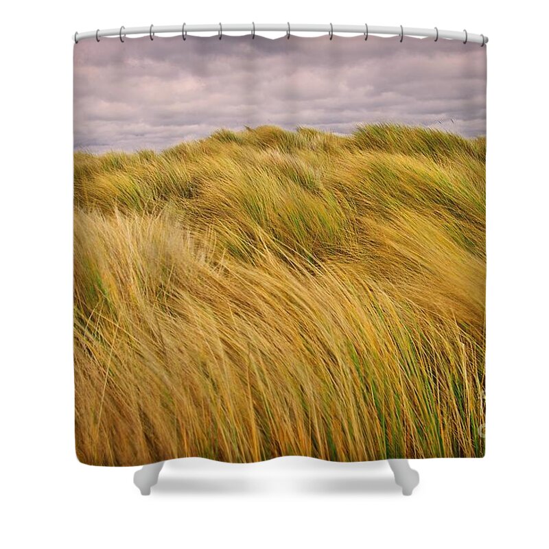Golden Grass Shower Curtain featuring the photograph windswept Grasses by Martyn Arnold