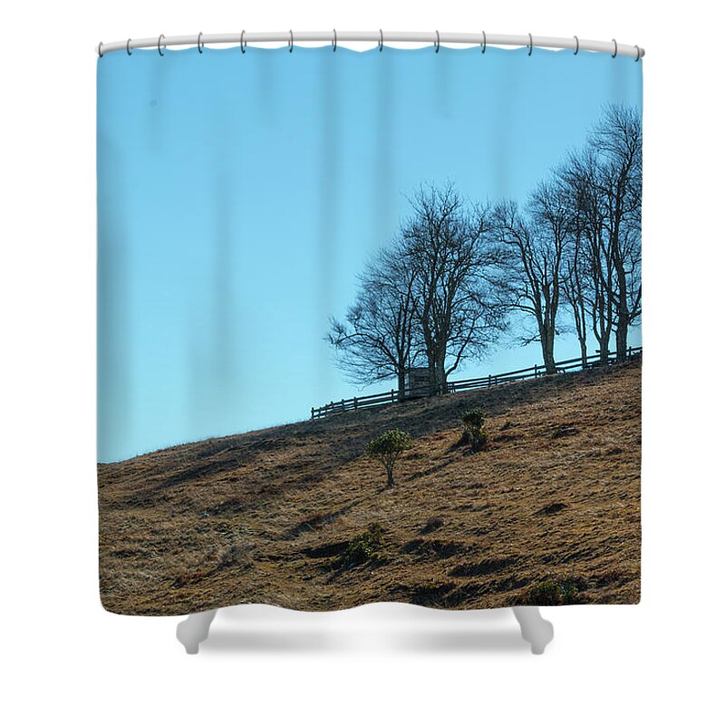 Windswept Shower Curtain featuring the photograph Windswept Trees - December 7 2016 by D K Wall