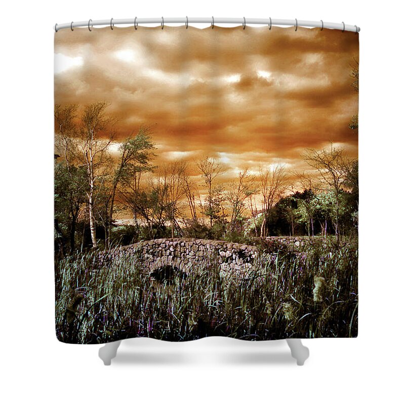 Moody Landscape Shower Curtain featuring the digital art Windy and Moody by Lilia D