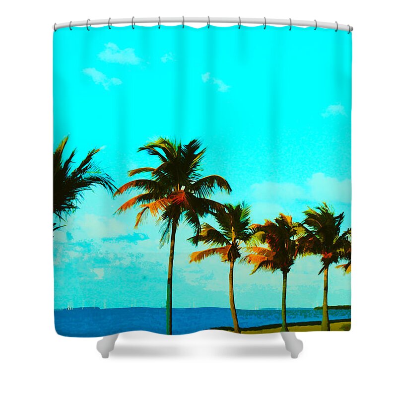 Windy Shower Curtain featuring the photograph Windy Day on N Roosevelt Bld Key West by Susan Vineyard