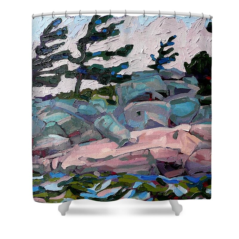 Dock Shower Curtain featuring the painting Windy Island by Phil Chadwick