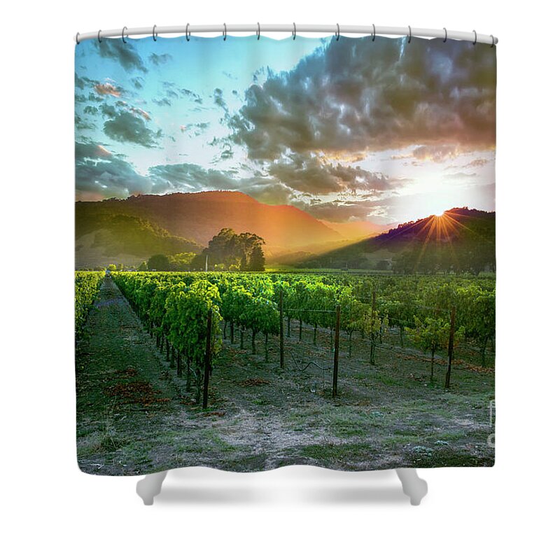 Napa Shower Curtain featuring the photograph Wine Country by Jon Neidert