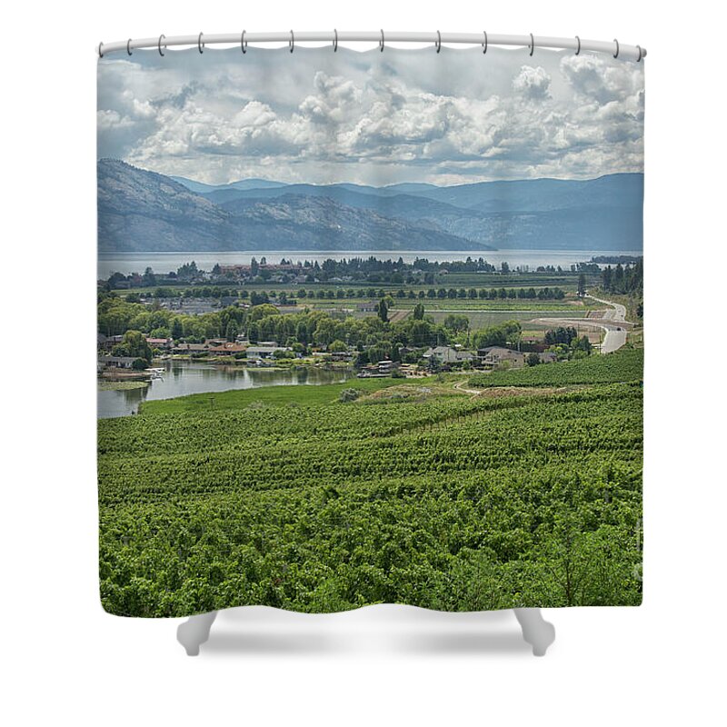 Okanagan Shower Curtain featuring the photograph Winery View by Patricia Hofmeester