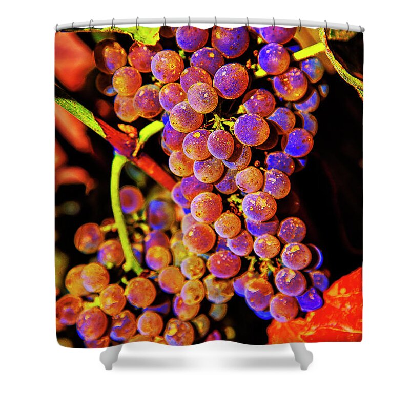 Portugal Vines Vineyards Grapes Shower Curtain featuring the photograph Wines of Faith by Rick Bragan