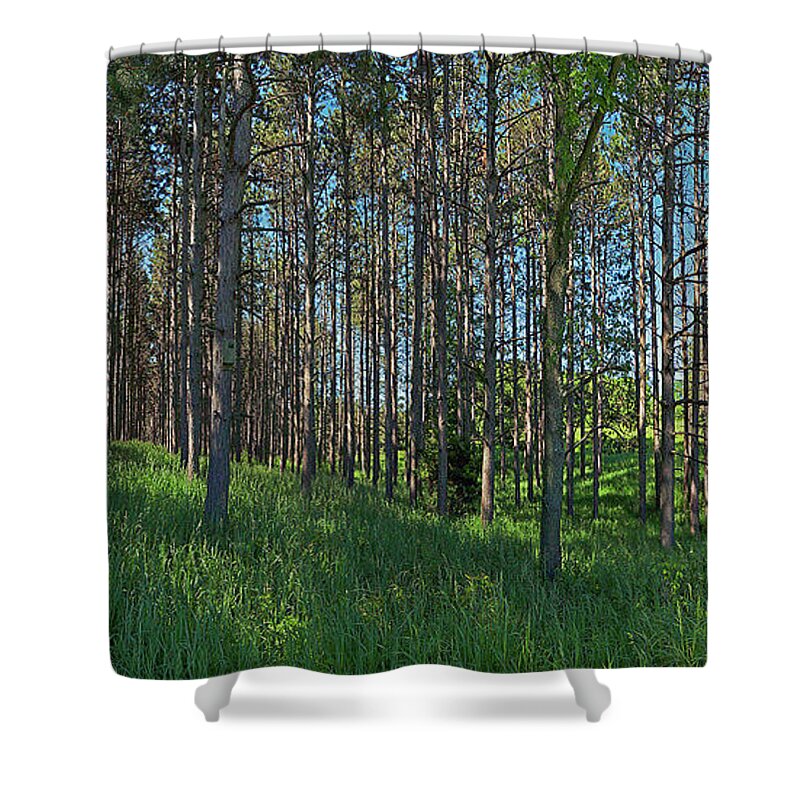 Wingate Shower Curtain featuring the photograph Wingate Prairie Veteran Acres Park Pines Crystal Lake IL by Tom Jelen