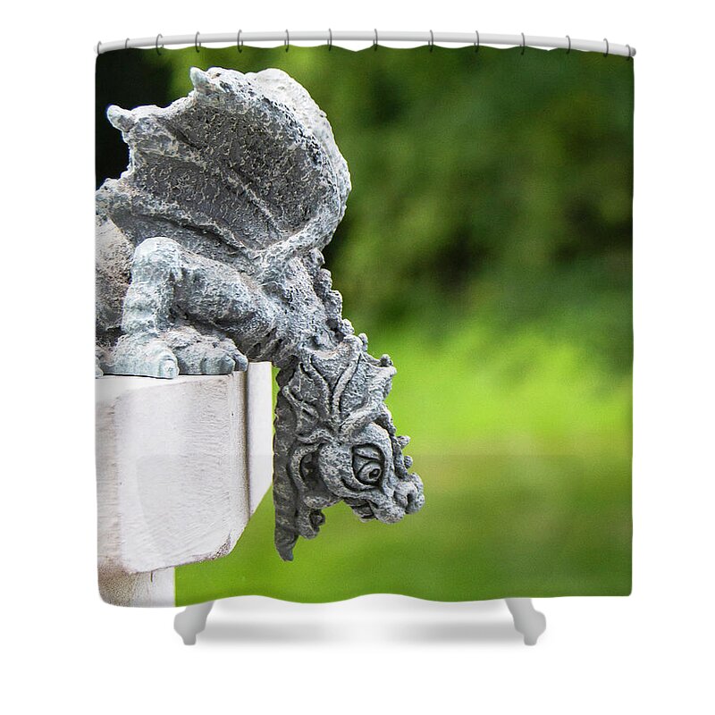Fantasy Shower Curtain featuring the photograph Winged Gargoyle by Kathy Kelly